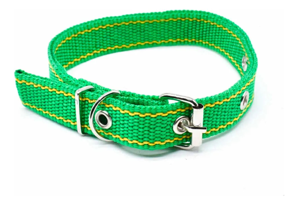 Collar Cinta Nylon 38cm X 2cm 4