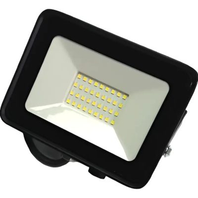 Reflector Led 30w Ip65 Luz Fría Para Exterior