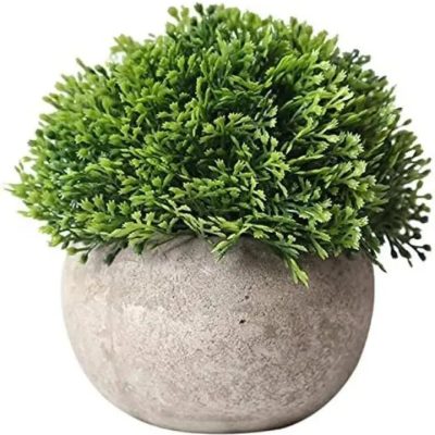 Arbusto Artificial Genérico Fy114 Plástico 12x12cm Maceta